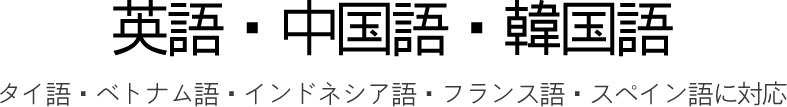 英語・中国語（簡体・繁体）・韓国語・タイ語・ベトナム語・インドネシア語・フランス語・スペイン語（南米向け）に対応